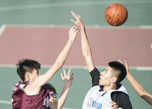 91精品调教在线观看